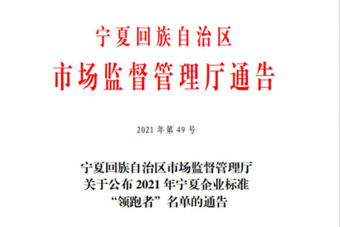 【荣誉】PA集团中国《GS系列桁架机器人》企业标准入选2021年宁夏企业标准“领跑者”名单